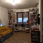 Rent 1 bedroom apartment of 45 m² in Rome