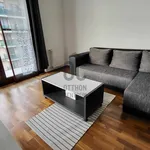 Rent 2 bedroom apartment of 51 m² in Budapest