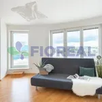 Rent 4 bedroom apartment of 106 m² in Prague