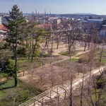 Pronajměte si 3 ložnic/e byt o rozloze 85 m² v Poděbrady