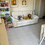 Rent 3 bedroom apartment of 70 m² in Cecina