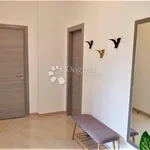 Rent 2 bedroom apartment of 100 m² in Matulji