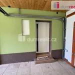 Rent 1 bedroom apartment in Břeclav