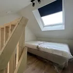 Rent 1 bedroom apartment in Leuven