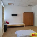 Rent 1 bedroom apartment in Blansko