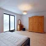 Rent 5 bedroom apartment of 252 m² in MIERZYN 