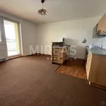 Rent 1 bedroom apartment in Praha - východ