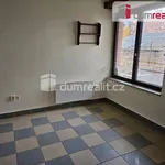 Rent 1 bedroom house of 10 m² in Mýto