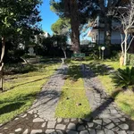 Rent 6 bedroom apartment of 200 m² in San Giovanni la Punta