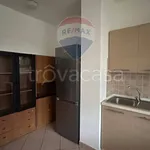 Rent 6 bedroom apartment of 85 m² in Ferrara