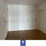 Rent 4 bedroom apartment of 167 m² in Dresden