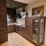 Rent 1 bedroom apartment of 80 m² in Prague