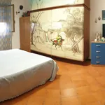 Rent 2 bedroom apartment in palermo