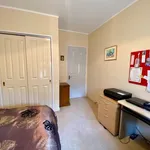 Rent 3 bedroom house in Palmerston North