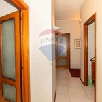 Rent 5 bedroom apartment of 224 m² in Catania