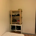 Rent 5 bedroom apartment in Coimbra