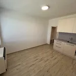 Rent 1 bedroom apartment in Znojmo