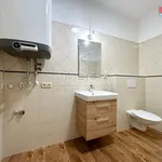 Rent 3 bedroom apartment in Hodonín