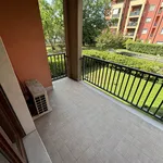 Rent 2 bedroom apartment of 60 m² in Verona