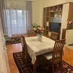 Rent 5 bedroom apartment of 100 m² in Roma