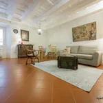 Rent 1 bedroom apartment of 45 m² in Florence