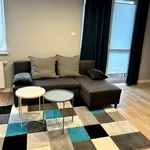 Rent 1 bedroom apartment of 42 m² in Łódź