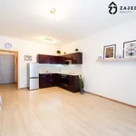 Rent 1 bedroom apartment in Slavkov u Brna