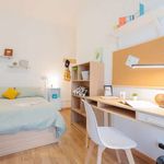 Rent a room in Torino