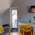 Rent 1 bedroom apartment in milano