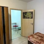 Rent 1 bedroom apartment of 20 m² in Brno