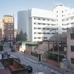 Rent 1 bedroom apartment in madrid