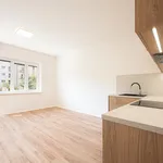 Pronajměte si 2 ložnic/e byt o rozloze 45 m² v Brno