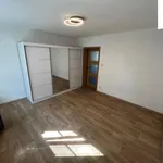 Rent 2 bedroom apartment of 52 m² in Planá