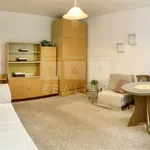 Rent 1 bedroom apartment of 28 m² in Hradec Králové