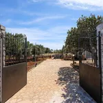 Rent 2 bedroom house of 55 m² in San Vito lo Capo