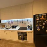 Rent 1 bedroom apartment in Auckland