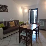 Rent 2 bedroom apartment of 50 m² in Luzzara