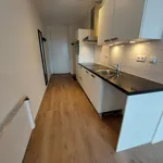 Huur 1 slaapkamer appartement van 49 m² in Leiden