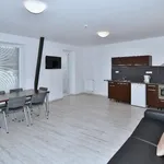 Rent 3 bedroom apartment of 141 m² in Brno