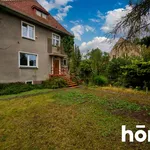 Rent 4 bedroom apartment of 81 m² in Wrocław