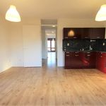 Rent 4 bedroom house of 175 m² in Aalsmeer