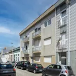 Rent 1 bedroom apartment in Porto