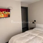 3-room flat Contrada Battaini 10, Centro, Chiesa in Valmalenco