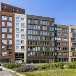 Rent 1 bedroom apartment of 38 m² in Leiden