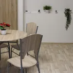 Rent 1 bedroom apartment of 43 m² in Brno