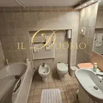 Rent 7 bedroom apartment of 302 m² in Castelletto sopra Ticino