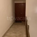 Rent 3 bedroom apartment of 80 m² in Oliveri