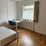 Rent 4 bedroom student apartment in Canterbury