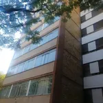 Rent 1 bedroom apartment in Pretoria