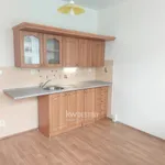 Rent 1 bedroom apartment of 22 m² in Teplice